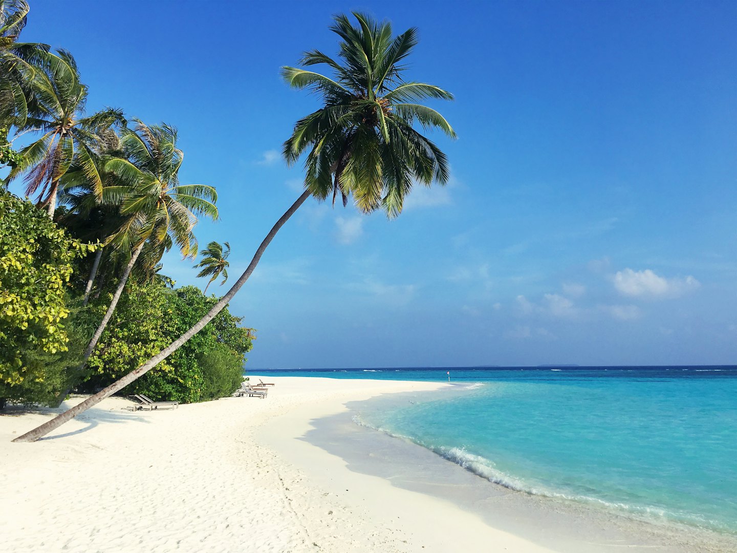 Tropikalna plaża z białym piaskiem, turkusową wodą i palmami.